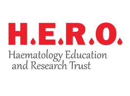 charity-hero